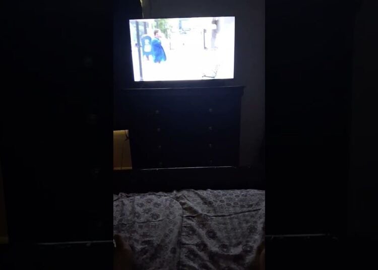 BED BUG FACE TOMMY THE GOSSIP TRYING HARD HE SHOWED HIS TV TWICE TO TRY TO PROVE A POINT😂😂😂