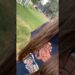 #music #artist #song #musicgenre #foryou #musicsong #fyp #viral #shorts