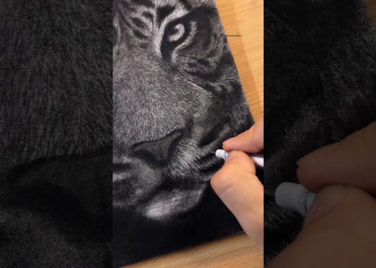 Easy Tiger drawing using Charcoal Powder | step-by-step tutorial ✨ #shorts