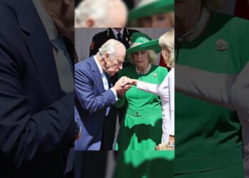 King Charles couldn’t even kiss Queen Camilla’s hand. #royal #kingcharles