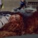 Chappell Roan – The Subway (Official Music Video)