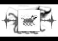 Goose – Royal (Official Visualizer)
