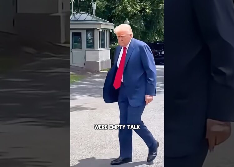 Did you notice Zelensky’s counterattack#shorts #shortvideo #trending #actress #celebrity