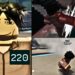 The NEW Parkour Artist and Player 120 POWERS are.. (Ink Game UPDATE)