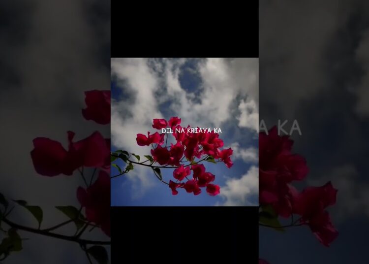 SAHIBA ✨ || Sahiba song lyrics #song #trending #sahiba || aesthetic songs