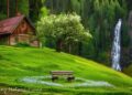 Calming Music to Heal the Heart🌿 Nature Sounds for Stress Relief, Deep Sleep Healing