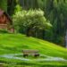 Calming Music to Heal the Heart🌿 Nature Sounds for Stress Relief, Deep Sleep Healing