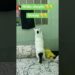 Gossip 😓😓😓 #cat #catlove #fun #pets #catvideos #funny #shorts