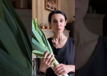 CSABA E’ IN VACANZA IN FRANCIA ☺️ CSABA DALLA ZORZA #short  #gossip