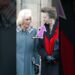 Princess Anne Firmly Reminds Camilla to Follow Royal Protocol #shorts #camilla #princessanne