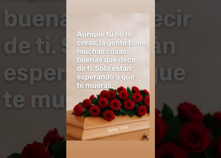 #music #song #automobile #audio #taromancia #80smusic #abbapiano #tarot #lecturacartas #viral