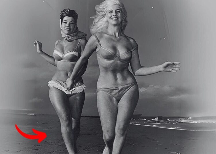 🌟 100+ Vintage Celebrity Secrets: Rare Photos from the 50s–90s Finally Uncovered | Retro Reflections
