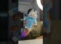 DIY viral Labubu doll🙀 #shorts #diy #labubu