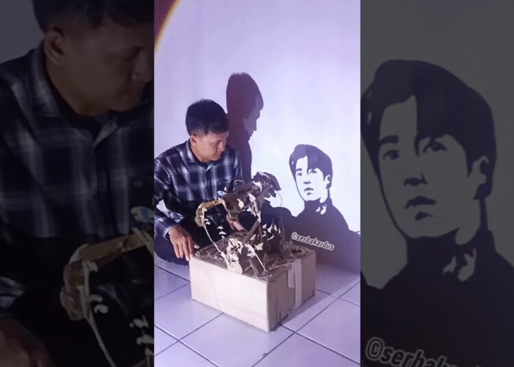 Shadow Art #music #unstoppable #artist #diy #shorts