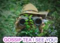 GOSSIP TEA, ARE YOU A SECRET ADMIRER OR JUST IN MY BUSHES ON THE BS? LET’S TALK ABOUT IT…
