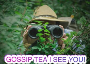 GOSSIP TEA, ARE YOU A SECRET ADMIRER OR JUST IN MY BUSHES ON THE BS? LET’S TALK ABOUT IT…
