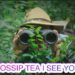 GOSSIP TEA, ARE YOU A SECRET ADMIRER OR JUST IN MY BUSHES ON THE BS? LET’S TALK ABOUT IT…