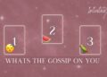 WHAT IS THE GOSSIP ON YOU**Pick A Card**😴🍉🦜🌹✨