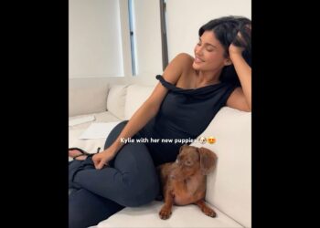 Kylie Jenner new puppies 🐶😭 new viral video #viralvideo #celebrity #trending #kyliejenner #shorts