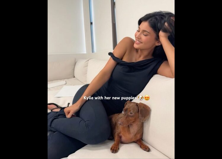 Kylie Jenner new puppies 🐶😭 new viral video #viralvideo #celebrity #trending #kyliejenner #shorts