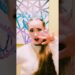 Gossip – Maneskin – Acting #maneskin #gossip #tiktok