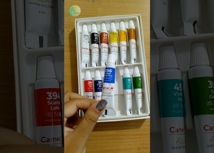 Unboxing Camel Artist Water Color #shorts #unboxing #colortheory #watercolor #satisfying