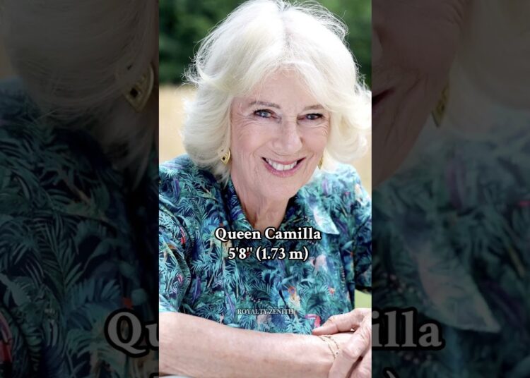 Height of British royals #royal #royalty #royalfamily #viral #shorts #britishroyalfamily #queen