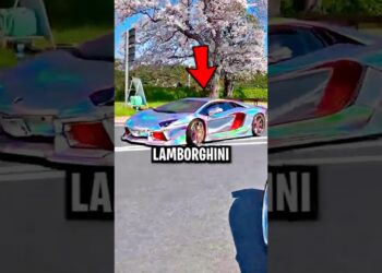 Ferran Made Andrea Cry Just For a Lambo!😲