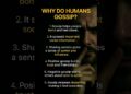 #interesting#factsabout#gossip#psychological#shorts