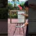 Hyper Realistic Street Art 🤯