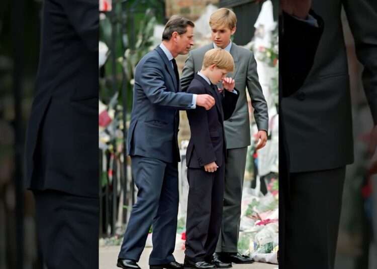 Tears of the Royals at Diana’s Farewell #princeharry #charles #princewilliam #royal