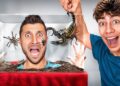 24 Hours TRAPPED in the Strangest Situations Ever | The Royalty Family