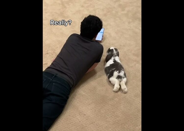 Gossiping with my bunny