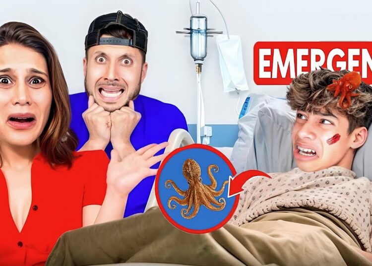 OCTOPUS STUNG FERRAN *swollen* (The Royalty Family, Ferran)
