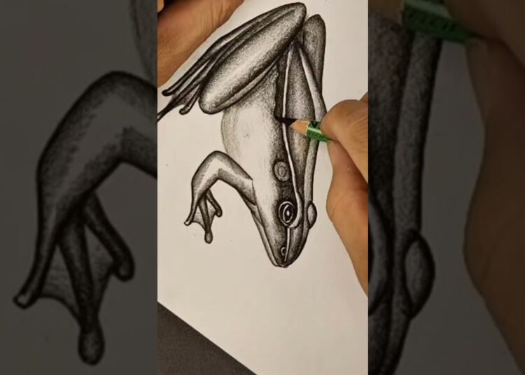 Easy Frog Drawing Secrets Nobody Tells You  #drawing #beginnerarttips #art #sketch #frog