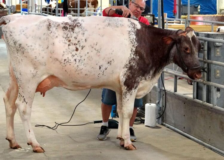 32,736 Visitors Attend Opening Day of 2025 New York State Fair | Entertainment