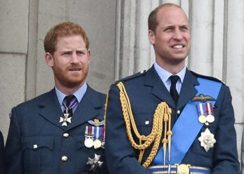 A Royal Expert Says Prince Harry And Prince William As 'Good Role Models' For Their Children Amid Their Latest 'Rift' And Compares Them To Their Mother: 'That Is Pure Diana'