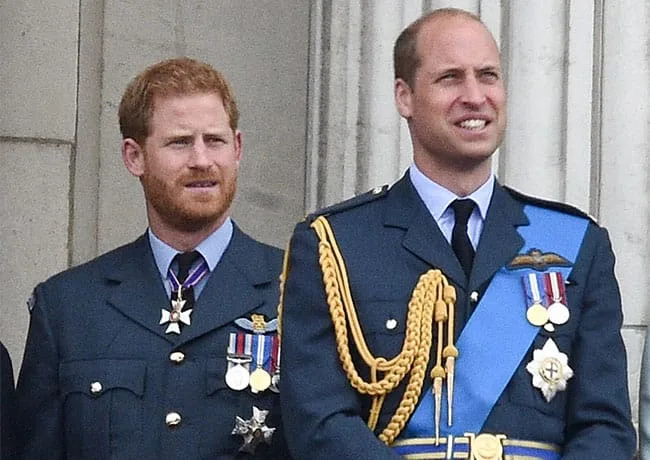 A Royal Expert Says Prince Harry And Prince William As 'Good Role Models' For Their Children Amid Their Latest 'Rift' And Compares Them To Their Mother: 'That Is Pure Diana'