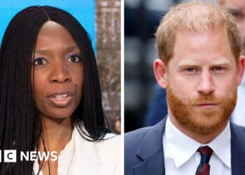 'All sides' to blame in Prince Harry charity row, watchdog finds