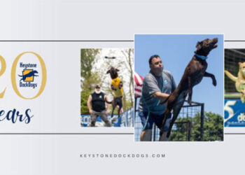 BBQ & Brews Music Festival | Bloomsburg, PA
