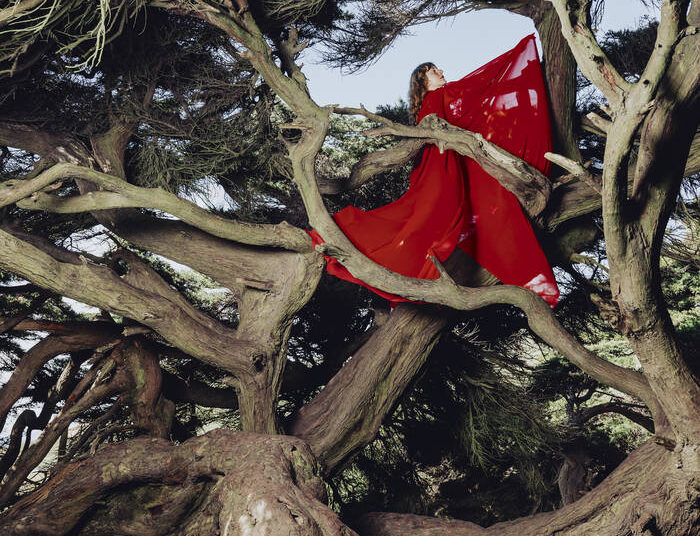 Best New Songs of the Week (August 14, 2025)