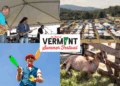 Best of Vermont Summer Festival schedule of events