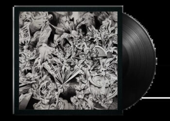 Billie Eilish - WHEN WE ALL FALL ASLEEP, WHERE DO WE GO? by Anna Park Gallery Vinyl