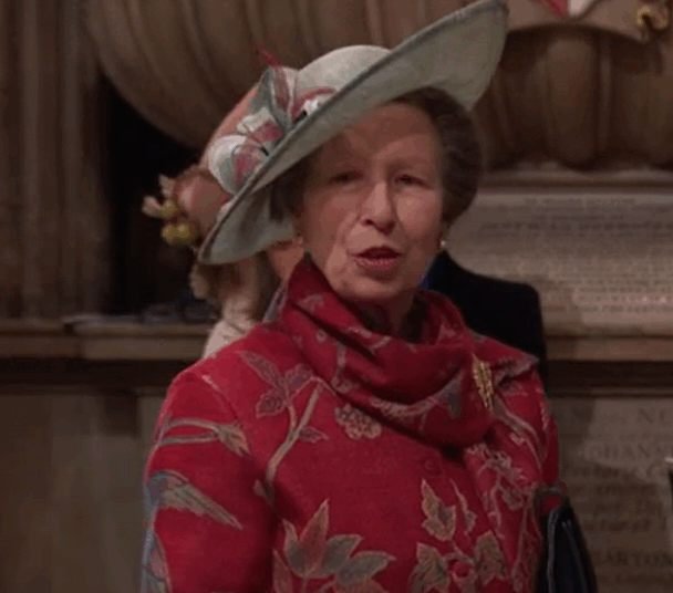 Buckingham Palace sends royal watchers into a tailspin with a 'fun fact' that appeared to give Princess Anne a whole new family