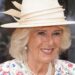 Camera Catches Striking Pic of Queen Camilla in Backseat of Car