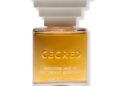 Cécred's Beyonce-Approved New Collection: How to Buy Online
