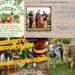 [Credit: WP Composite] This week’s Coventry Community Events in Coventry, RI include a community parkour class and the continuation of the Free Summer Entertainment Series, along with the usual farmers market and goat events.