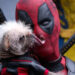 Deadpool and Wolverine.