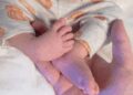 Do fans have a “right” to see celebrity children? Parental autonomy vs. fan curiosity