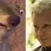Side by side: Sid the sloth in Ice Age, Kirsh in Alien: Earth.